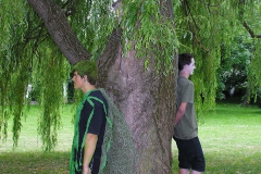 DSCN1181u